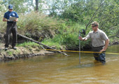 Stream Analysis During Lampricide Treatment