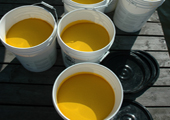 Bayluscide Granular Buckets