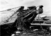 Fisherman Pulling in Nets, Historical